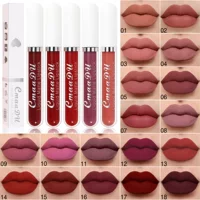 Cross-Border 18-цветная помада Lip Glaze Матовая непросто снять макияж, нелегко прикоснуться Чашка для губ Европа и США-это красный нюдовый макияж внешней торговли