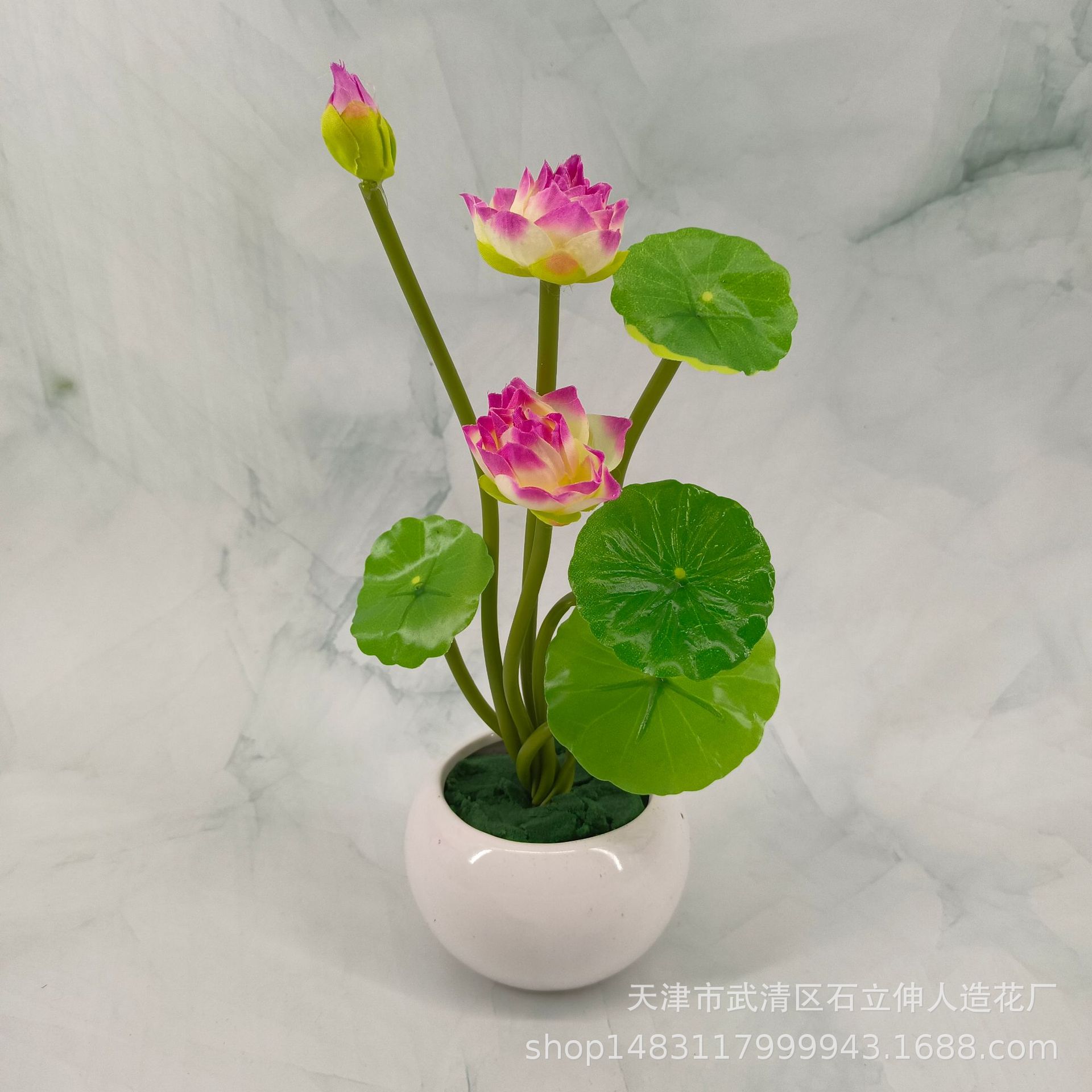 분지없이/보라색