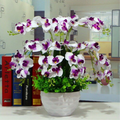 Flower phalaenopsis set fake flowers living room bed ornaments fake flowers decoration plastic flowers dried flowers silk flowers fake flowers