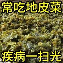 地皮菜甘肃野菜干货地软地达菜地衣雷公菌地耳新货地皮菜青菜小炒