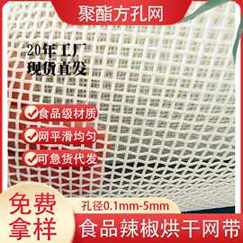 聚酯方孔网格输送带不生锈耐酸耐高温辣椒果蔬食品烘干机输送带