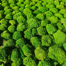 ����̦�\ֲ��҃Ƞ���ܛ�b ���̠�����쾰������̦�װl����\