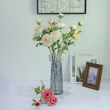 �S��ֱ�����ƿ��}�Q���ԼҾ��b�c�zӰ�[������¶ɏ���滨