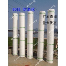 ��40Ŀ���ϻ��Bֳ�W�W������ϩΛ�ˮ�����q�W�����r�úY�W��