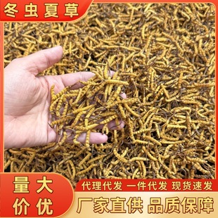 ���x�Ĳ����������ߺ��������Ҝ���ˮ���a��؛�F؛���l������ԃ