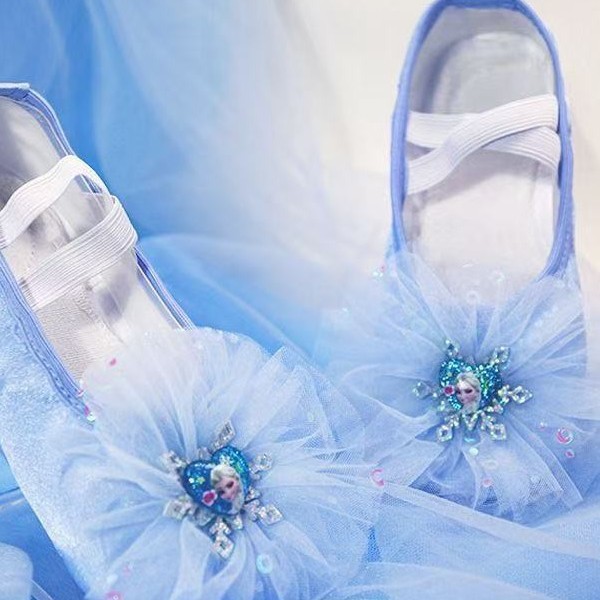 Girls Ballet Shoes Soft Sole Ice and Snow Princess Dance Shoes Cat Claw Shoes Cute Dance Shoes Embroidered Show Shoes Baby