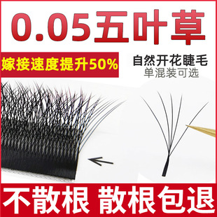 5D five-leaf grass grafting eyelash soft hair does not loose roots five-leaf grass y-shaped yy clover mixed eyelash shops are used