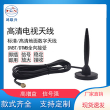 쾀SDTMBҕ쾀҃Ȕֽ沨쾀 P쾀