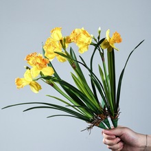 ˮ�ɻ����滨�ߙn�������Ի�Y�쾰�ҾӲ廨�bzӰ���ߔ[���ٻ�