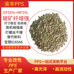 6165a6地色ppsプラスチック55ガラス繊維強化耐温260カーラー直発器pps高強度
