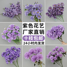 ��ɫ���滨õ�廨��c�쾰��Y·�����ٻ��[�O�廨��ˇ����С����