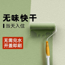 内墙乳胶漆家用室内无味自刷彩色油漆墙面翻新无甲醛白色墙漆涂料