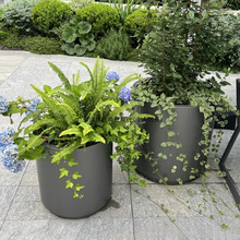 ���⻨��M�ϲ��P䓾��^�V�����Ƅӻ����Fˇ�Nֲ�俧�ȏdͥԺ����