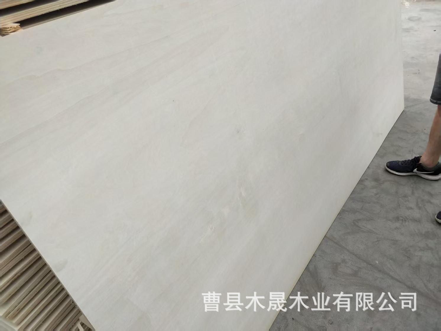 微信图片_20250430133425.jpg