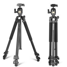 pbrQ304XϽηC_ zӰz̨Ǽtripod