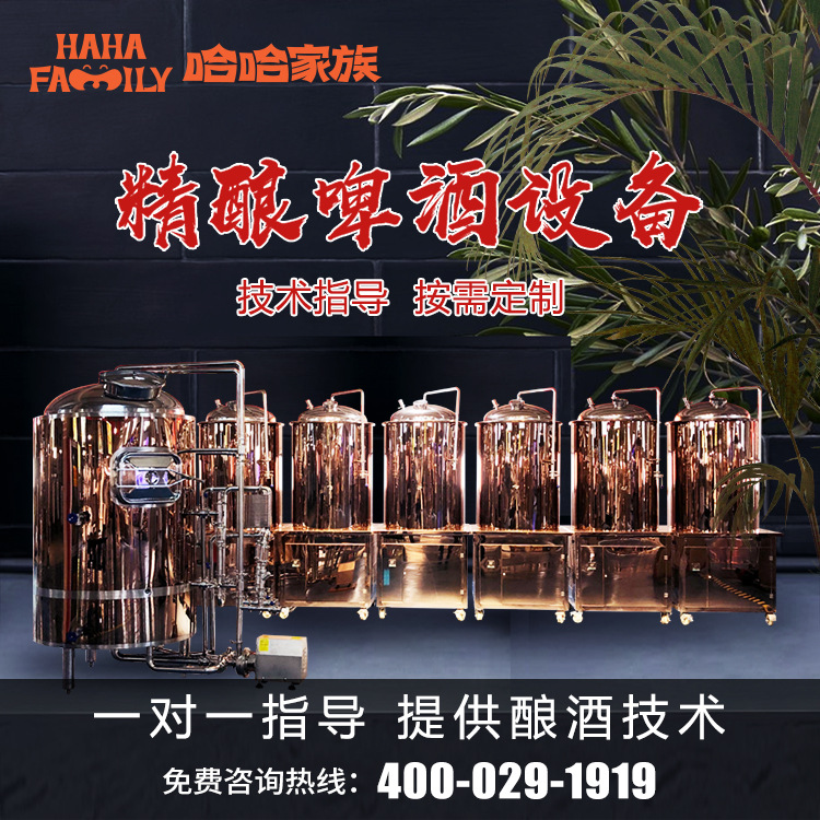 大型精酿啤酒厂灌装设备 小型酿造啤酒机器 酿造精酿啤酒的机械