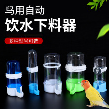 纳纶虎皮牡丹玄凤鹦鹉饮水器喂水喝水器鸟用品用具自动喂食器喂鸟