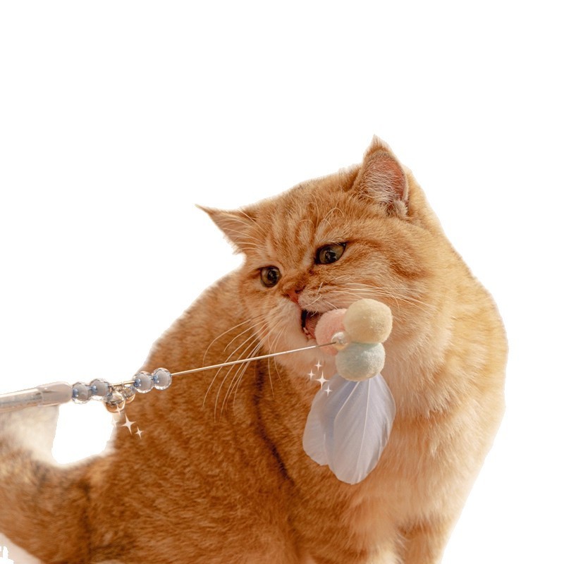 逗猫棒猫咪自嗨带铃铛幼猫耐咬可伸缩替换头逗猫玩具用跨境专供|undefined