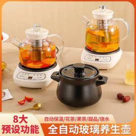 玻璃养生壶煮茶器办公室全自动煮茶壶炖盅家用电热花茶壶礼品批发