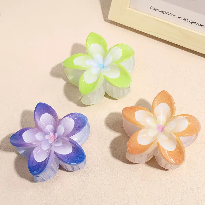 56g Weight Hair Clip, Hair Claws Hair Accessories Type 1 Piece Quantity Casual, Holiday, Daily Occasion Plastic Material Colorful, Horse, Fish, Shark, Egg, Plumeria Pattern All Seasons, Summer Season Women's Gender Elegant, Sweet, Pastoral Style Elegant Sweet Pastoral Women's Colorful Horse Fish Plastic Hair Clip Hair Claws 2