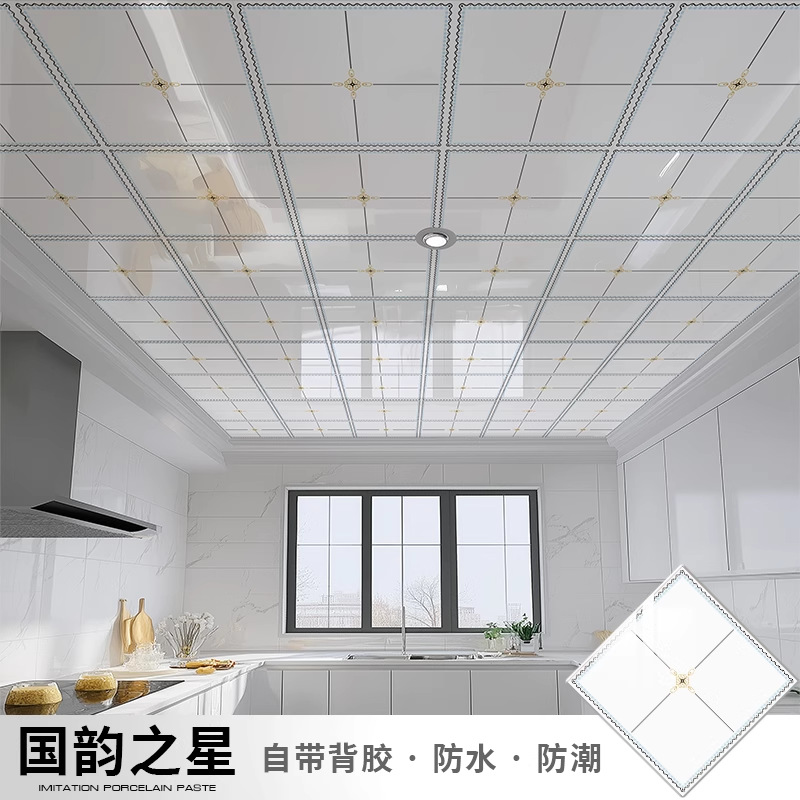 Guoyun Star [자체 접착 및 내유성] 대외 무역 새로운 스타일