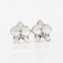 �˼���Ʒ��y���m�����Ů�W�������m��С���OӋ�ж�����»���Ů