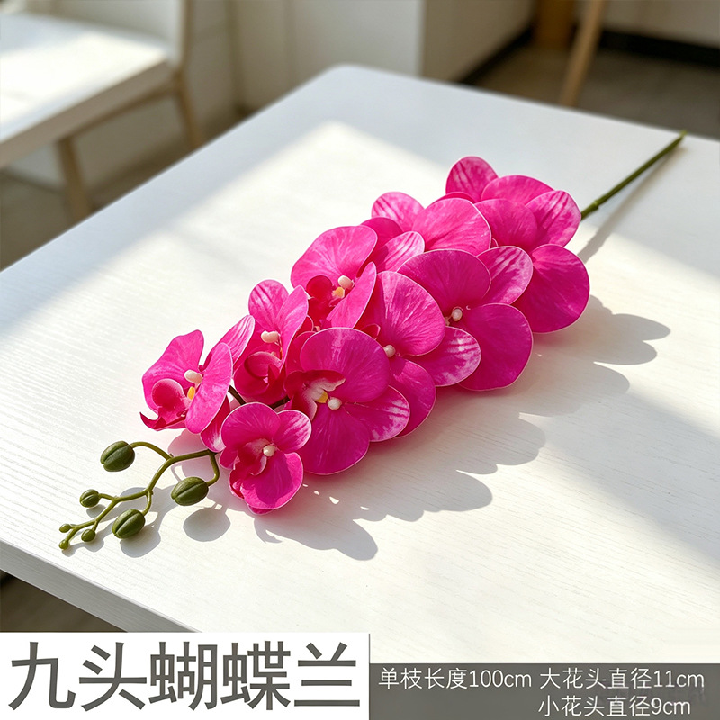 3D Phalaenopsis mới/đỏ hồng tinh khiết
