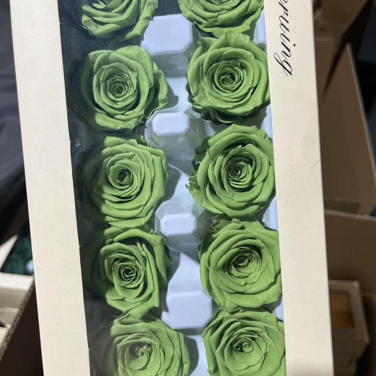 Rosa Preservada B+ de 3-4 cm, Ramo de Flores Reales para DIY, Fabricante de Yunnan, Venta al por Mayor, Material Floral para el Día de San Valentín, Flores Secas 520