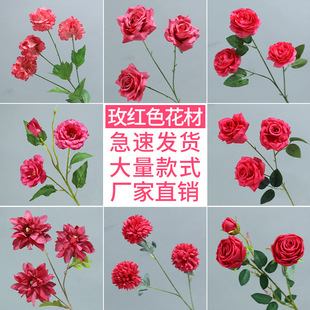 õ�tɫϵ���滨��Y�û�c�ٻ�·�����b���õ�廨�Ļ������l