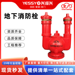 ����˨����ʽ��V�����������˨����ˮ��SA100/65��������˨