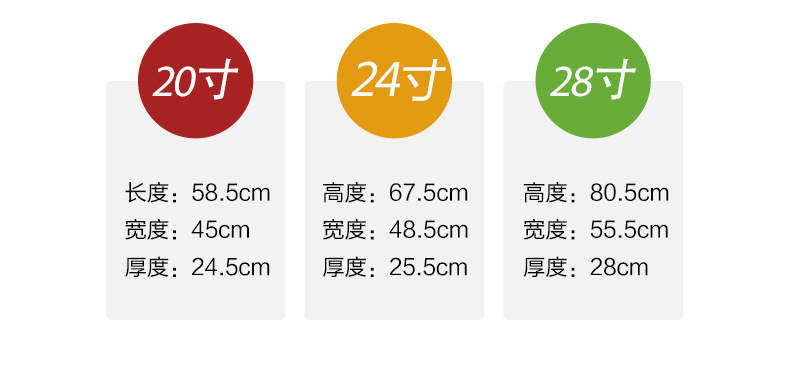 4091388747_241261818