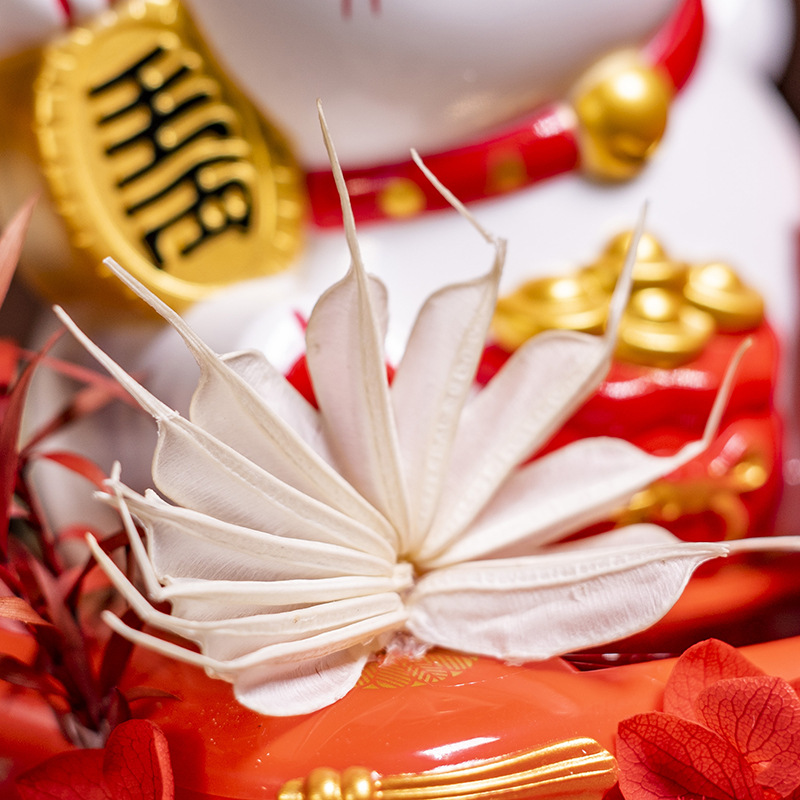 Yunnan Yongsheng flor fortuna gato cubierta de vidrio regalo creativo decoración cumpleaños regalo de boda Yongsheng flor producto terminado