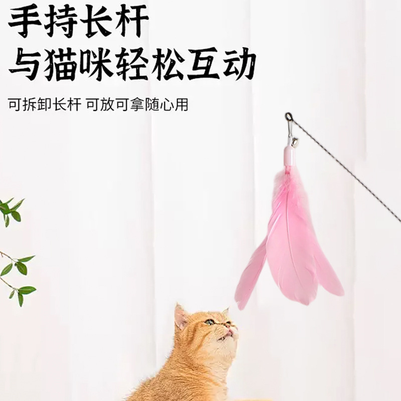 (Wholesale), powerful toy with accessories, pet 3