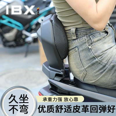 Motorcycle tail Backrest Aluminum Alloy