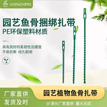 �~�������Gɫ���ψ@�ֽ���������50���̶��@ˇֲ�ｉ���@ˇ����