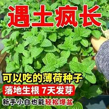 �羳��̱��ɷN���Ѱ�����N���ͺ��{�����ͥԺ�̨�ͺ�����ֲ��