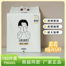 颜大使新款600g加厚洗脸巾家庭装壁挂悬挂式抽取批发询价