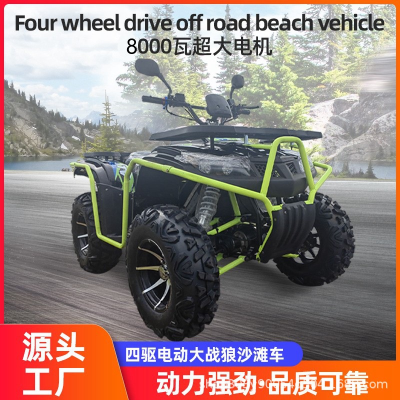 ATV coche de playa eléctrico de cuatro ruedas motocicleta de playa para adultos todo terreno 4WD bicicleta de montaña 8000W motor eléctrico