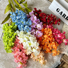 �����֦�����L���Ӽٻ� �̈���@�����b���޹�²ݽ����L����