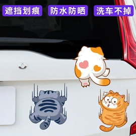 车身贴;贴纸相机;保健护具