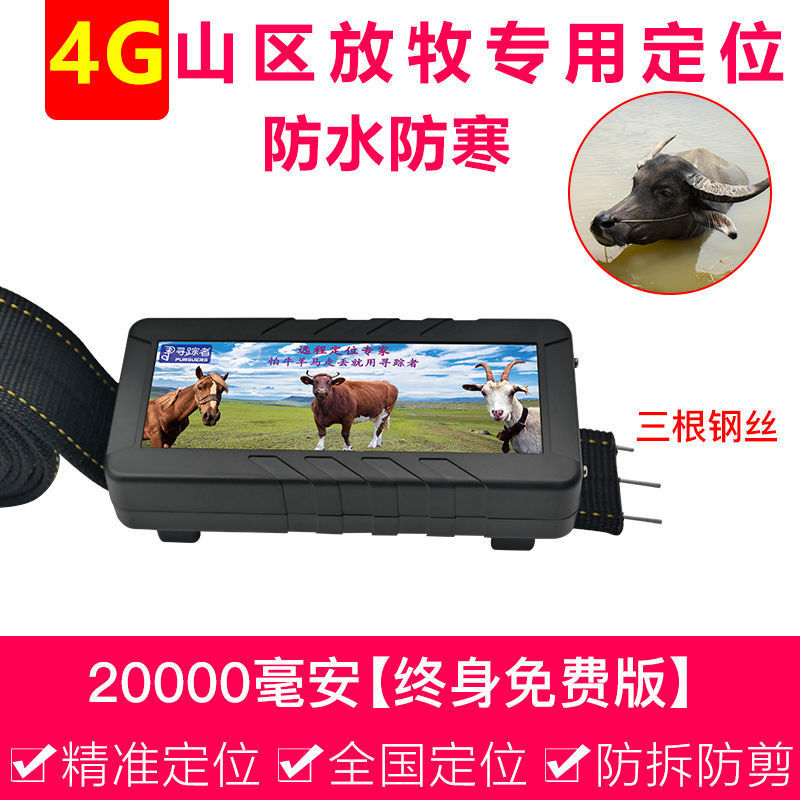 20000 mA + 4G 에디션 [정확한 위치 지정 + 다양한지도 + 도난 방지 칼라] 평생 카드