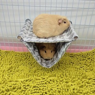 New Home Guinea Pig Bed Hamster Hammock Golden Bear Honey Kangaroo Squirrel Hanging Platform Nest Small Pet Summer Supplies