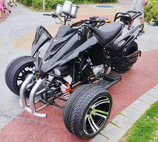 250cc ATV ݆ ɳ܇ ݆ԽҰ܇ ȫ  Ħ܇