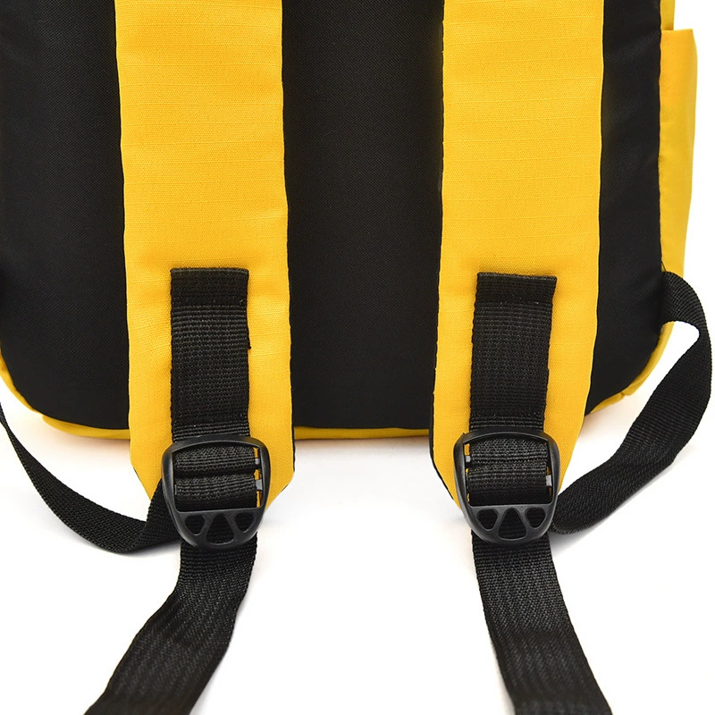 Capacious handheld backpack for training, laptop, business version