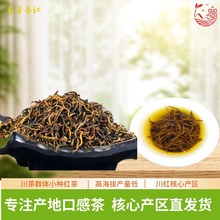 川红工夫原味果香嫩芽红茶原产地本地群体小叶种蜀芽春红散装红茶