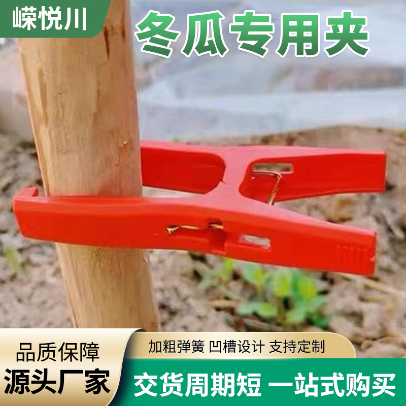 Los fabricantes suministran pinzas de plástico para verduras y frutas en invernaderos agrícolas, injertos de enredaderas, pinzas de melón de invierno, pinzas de fijación de pinzas de calabaza amarga