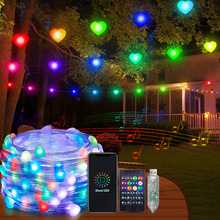 �羳LEDƤ����APP�c��һ�w�������͟���ͥԺ���ձ��׻�Y�bʟ�