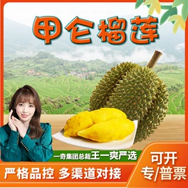 代用/养生茶;苹果;花果茶