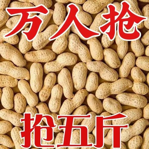 Factory direct sales of ten-year-old Northeast small peanut shelled red skin peanut original bulk delicious food flowers