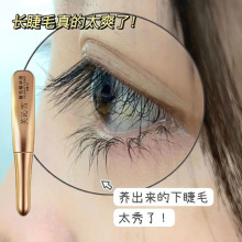 ��ë�w�LҺ��Ʒ�ٷ�üë�I�BҺ�غͲ��̼����ڝ�����Ȼ���N��ë��